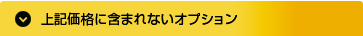 上記価格に含まれないオプション